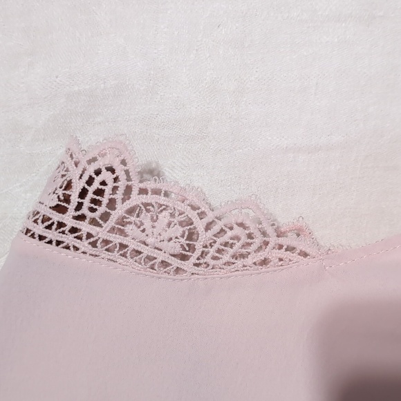 Pale Pink Chiffon Vneck Eyelet Cap Sleeve Blouse Size Large - Picture 3 of 4